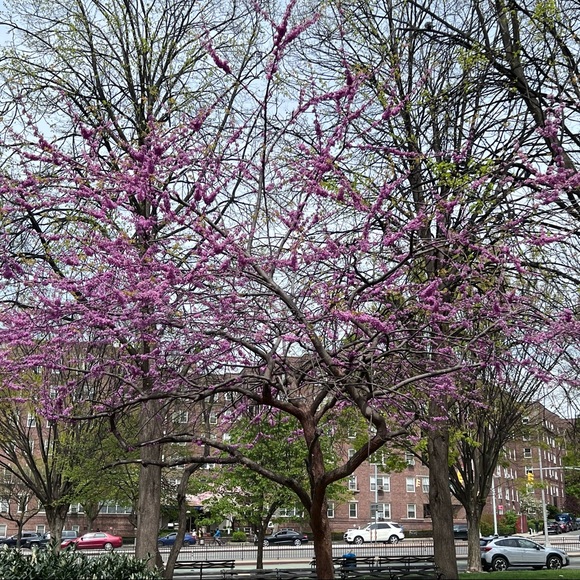 PLEASE, LIKE, FOLLOW & SHARE, SHARE, SHARE! THANK YOU!❤️❤️ - Picture 13 of 16